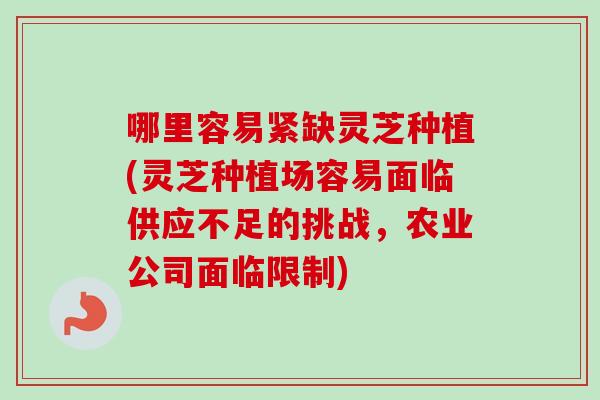 哪里容易紧缺灵芝种植(灵芝种植场容易面临供应不足的挑战,农业公司面临限制) 哪里容易紧缺灵芝种植(灵芝种植场容易面临供应不足的挑战,农业公司面临限制)