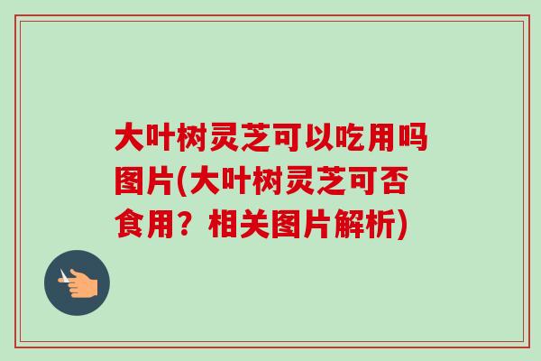 大叶树灵芝可以吃用吗图片(大叶树灵芝可否食用？相关图片解析)