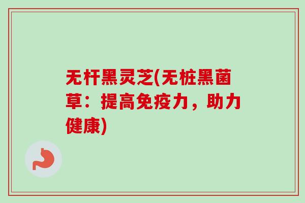 无杆黑灵芝(无桩黑菌草：提高免疫力，助力健康)