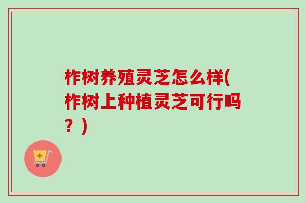 柞树养殖灵芝怎么样(柞树上种植灵芝可行吗？)