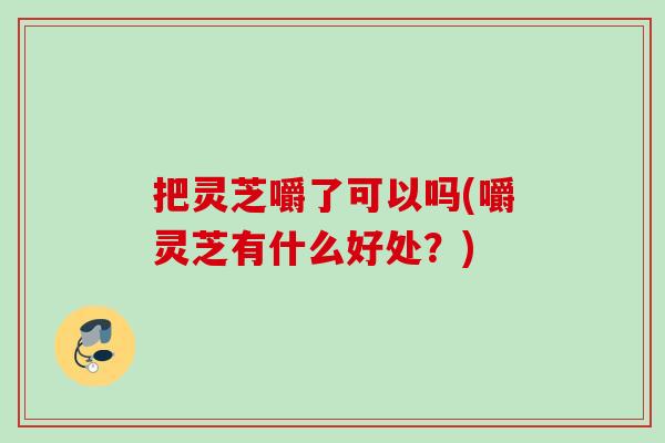 把灵芝嚼了可以吗(嚼灵芝有什么好处?) 把灵芝嚼了可以吗(嚼灵芝有什么好处?)