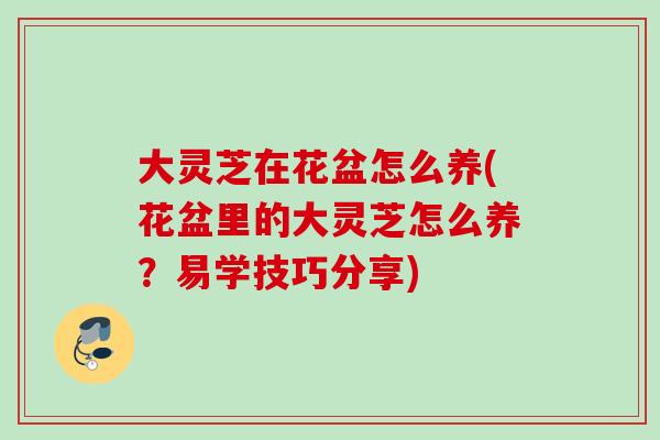 大灵芝在花盆怎么养(花盆里的大灵芝怎么养?易学技巧分享) 大灵芝在花盆怎么养(花盆里的大灵芝怎么养?易学技巧分享)