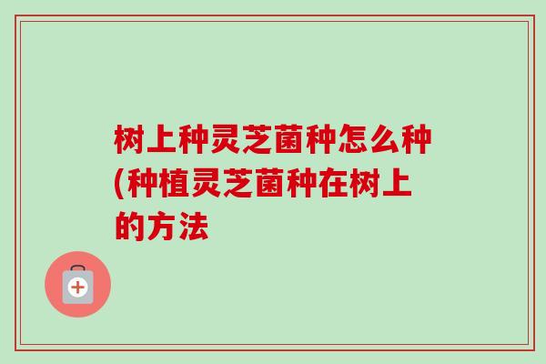 树上种灵芝菌种怎么种(种植灵芝菌种在树上的方法 树上种灵芝菌种怎么种(种植灵芝菌种在树上的方法