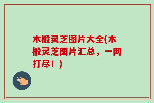 木椴灵芝图片大全(木椴灵芝图片汇总,一网打尽!) 木椴灵芝图片大全(木椴灵芝图片汇总,一网打尽!)