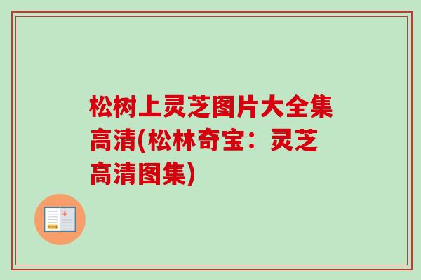 松树上灵芝图片大全集高清(松林奇宝:灵芝高清图集) 松树上灵芝图片大全集高清(松林奇宝:灵芝高清图集)