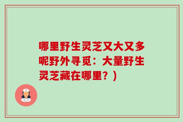 哪里野生灵芝又大又多呢野外寻觅:大量野生灵芝藏在哪里?) 哪里野生灵芝又大又多呢野外寻觅:大量野生灵芝藏在哪里?)