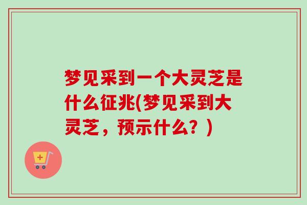 梦见采到一个大灵芝是什么征兆(梦见采到大灵芝,预示什么?) 梦见采到一个大灵芝是什么征兆(梦见采到大灵芝,预示什么?)