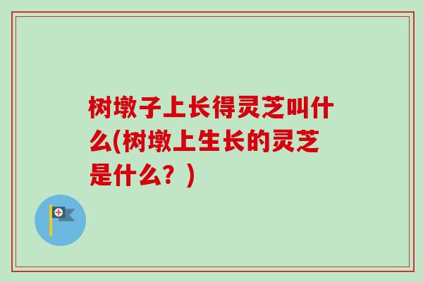 树墩子上长得灵芝叫什么(树墩上生长的灵芝是什么?) 树墩子上长得灵芝叫什么(树墩上生长的灵芝是什么?)