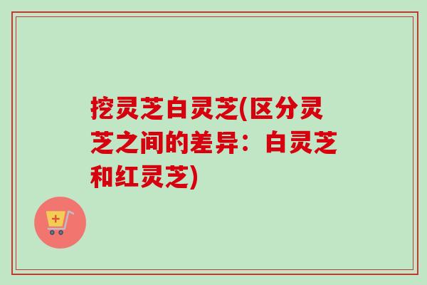 挖灵芝白灵芝(区分灵芝之间的差异：白灵芝和红灵芝)