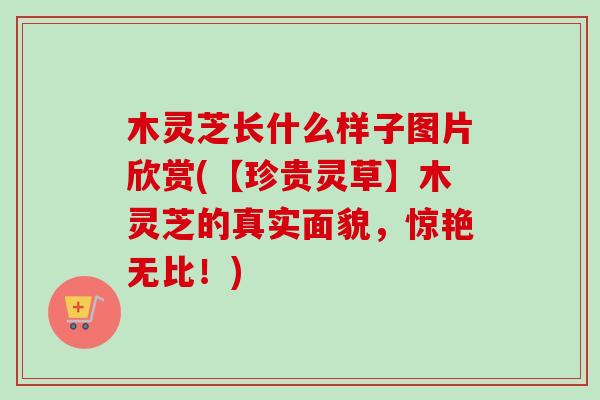 木灵芝长什么样子图片欣赏(【珍贵灵草】木灵芝的真实面貌,惊艳无比!) 木灵芝长什么样子图片欣赏(【珍贵灵草】木灵芝的真实面貌,惊艳无比!)