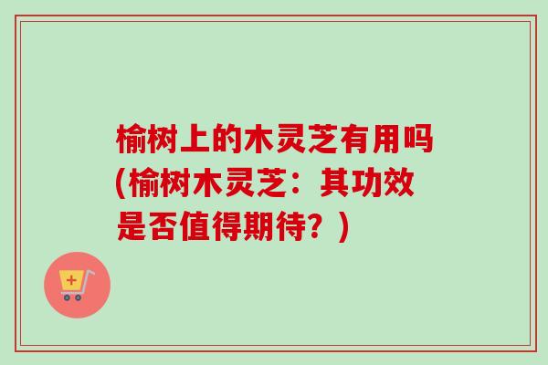 榆树上的木灵芝有用吗(榆树木灵芝：其功效是否值得期待？)