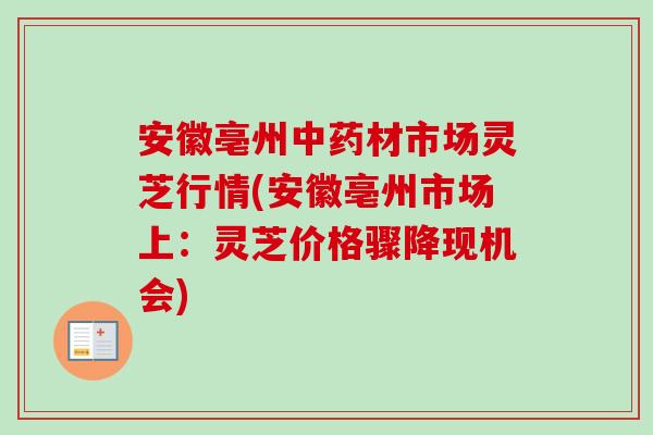 安徽亳州材市场灵芝行情(安徽亳州市场上:灵芝价格骤降现机会) 安徽亳州材市场灵芝行情(安徽亳州市场上:灵芝价格骤降现机会)