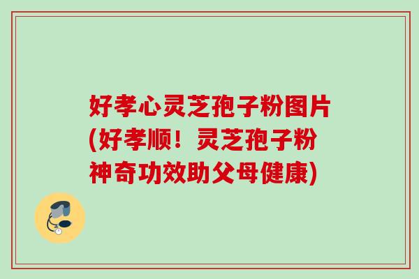 好孝心灵芝孢子粉图片(好孝顺！灵芝孢子粉神奇功效助父母健康)
