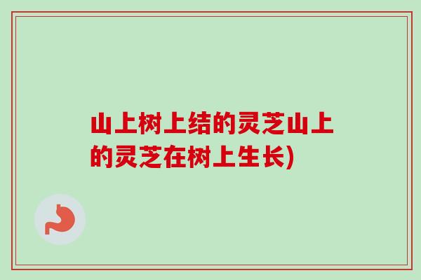 山上树上结的灵芝山上的灵芝在树上生长)