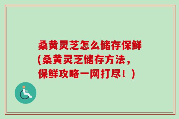 桑黄灵芝怎么储存保鲜(桑黄灵芝储存方法,保鲜攻略一网打尽!) 桑黄灵芝怎么储存保鲜(桑黄灵芝储存方法,保鲜攻略一网打尽!)