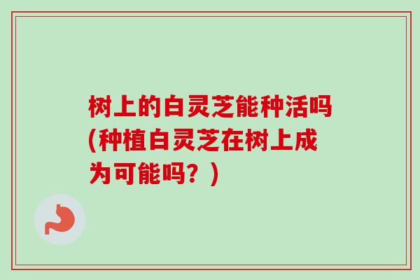 树上的白灵芝能种活吗(种植白灵芝在树上成为可能吗?) 树上的白灵芝能种活吗(种植白灵芝在树上成为可能吗?)