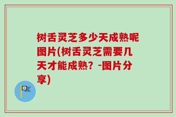 树舌灵芝多少天成熟呢图片(树舌灵芝需要几天才能成熟?-图片分享) 树舌灵芝多少天成熟呢图片(树舌灵芝需要几天才能成熟?-图片分享)