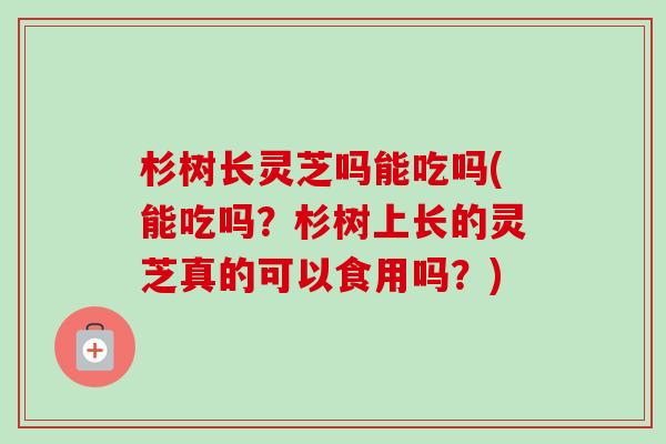 杉树长灵芝吗能吃吗(能吃吗?杉树上长的灵芝真的可以食用吗?) 杉树长灵芝吗能吃吗(能吃吗?杉树上长的灵芝真的可以食用吗?)