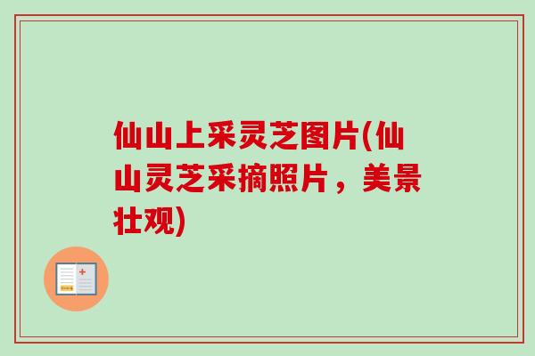 仙山上采灵芝图片(仙山灵芝采摘照片，美景壮观)
