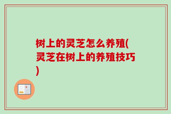 树上的灵芝怎么养殖(灵芝在树上的养殖技巧) 树上的灵芝怎么养殖(灵芝在树上的养殖技巧)