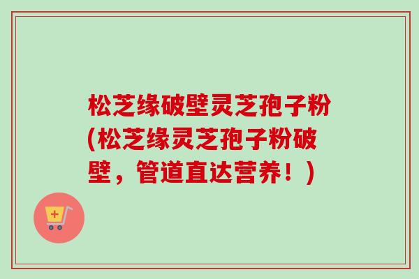 松芝缘破壁灵芝孢子粉(松芝缘灵芝孢子粉破壁,管道直达营养!) 松芝缘破壁灵芝孢子粉(松芝缘灵芝孢子粉破壁,管道直达营养!)