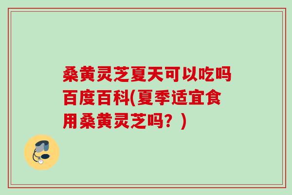桑黄灵芝夏天可以吃吗百度百科(夏季适宜食用桑黄灵芝吗?) 桑黄灵芝夏天可以吃吗百度百科(夏季适宜食用桑黄灵芝吗?)