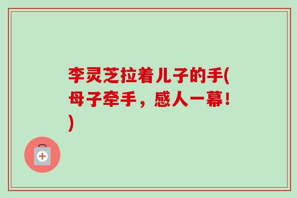 李灵芝拉着儿子的手(母子牵手,感人一幕!) 李灵芝拉着儿子的手(母子牵手,感人一幕!)