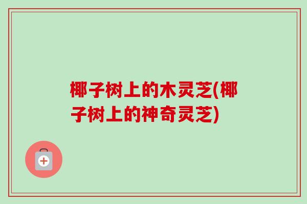 椰子树上的木灵芝(椰子树上的神奇灵芝)