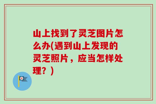 山上找到了灵芝图片怎么办(遇到山上发现的灵芝照片,应当怎样处理?) 山上找到了灵芝图片怎么办(遇到山上发现的灵芝照片,应当怎样处理?)