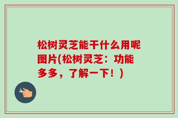 松树灵芝能干什么用呢图片(松树灵芝:功能多多,了解一下!) 松树灵芝能干什么用呢图片(松树灵芝:功能多多,了解一下!)