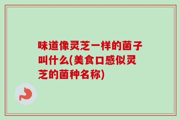 味道像灵芝一样的菌子叫什么(美食口感似灵芝的菌种名称) 味道像灵芝一样的菌子叫什么(美食口感似灵芝的菌种名称)