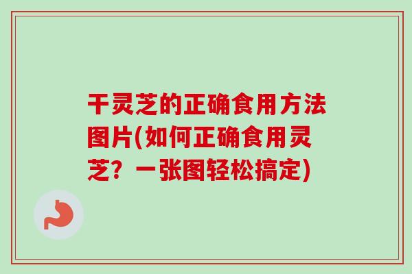 干灵芝的正确食用方法图片(如何正确食用灵芝?一张图轻松搞定) 干灵芝的正确食用方法图片(如何正确食用灵芝?一张图轻松搞定)