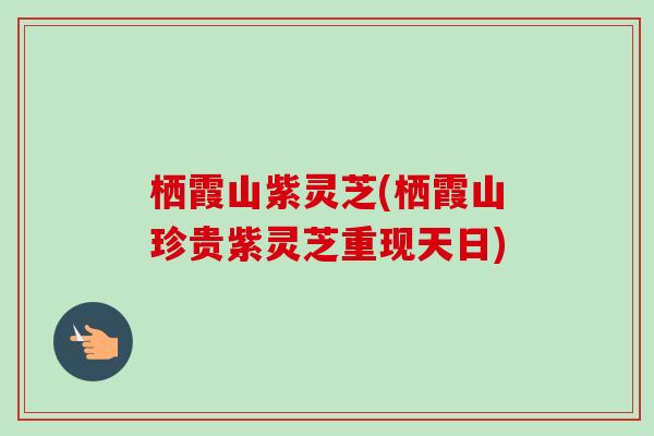 栖霞山紫灵芝(栖霞山珍贵紫灵芝重现天日) 栖霞山紫灵芝(栖霞山珍贵紫灵芝重现天日)