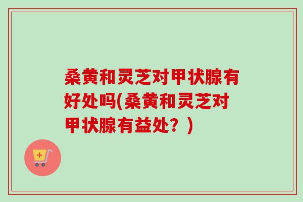 桑黄和灵芝对有好处吗(桑黄和灵芝对有益处?) 桑黄和灵芝对有好处吗(桑黄和灵芝对有益处?)