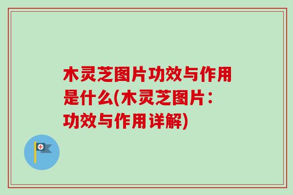 木灵芝图片功效与作用是什么(木灵芝图片:功效与作用详解) 木灵芝图片功效与作用是什么(木灵芝图片:功效与作用详解)