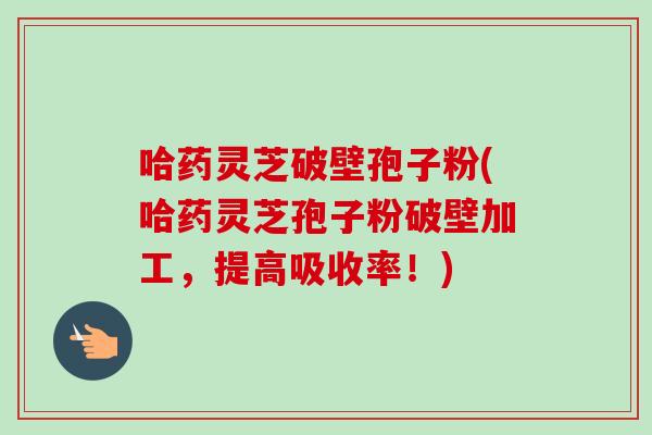 哈药灵芝破壁孢子粉(哈药灵芝孢子粉破壁加工,提高吸收率!) 哈药灵芝破壁孢子粉(哈药灵芝孢子粉破壁加工,提高吸收率!)