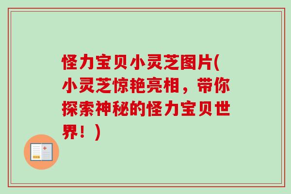 怪力宝贝小灵芝图片(小灵芝惊艳亮相,带你探索神秘的怪力宝贝世界!) 怪力宝贝小灵芝图片(小灵芝惊艳亮相,带你探索神秘的怪力宝贝世界!)
