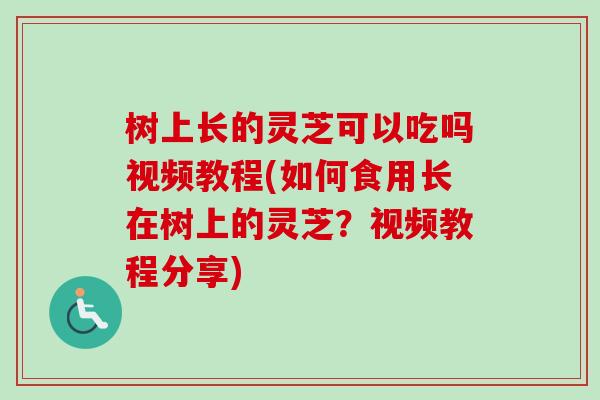 树上长的灵芝可以吃吗视频教程(如何食用长在树上的灵芝?视频教程分享) 树上长的灵芝可以吃吗视频教程(如何食用长在树上的灵芝?视频教程分享)