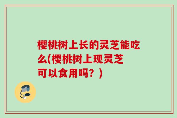 樱桃树上长的灵芝能吃么(樱桃树上现灵芝 可以食用吗?) 樱桃树上长的灵芝能吃么(樱桃树上现灵芝 可以食用吗?)