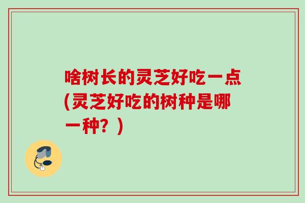 啥树长的灵芝好吃一点(灵芝好吃的树种是哪一种?) 啥树长的灵芝好吃一点(灵芝好吃的树种是哪一种?)