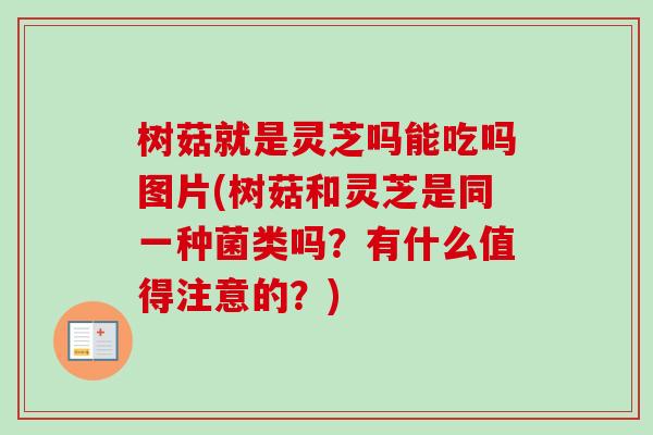 树菇就是灵芝吗能吃吗图片(树菇和灵芝是同一种菌类吗?有什么值得注意的?) 树菇就是灵芝吗能吃吗图片(树菇和灵芝是同一种菌类吗?有什么值得注意的?)