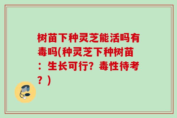 树苗下种灵芝能活吗有毒吗(种灵芝下种树苗:生长可行?毒性待考?) 树苗下种灵芝能活吗有毒吗(种灵芝下种树苗:生长可行?毒性待考?)
