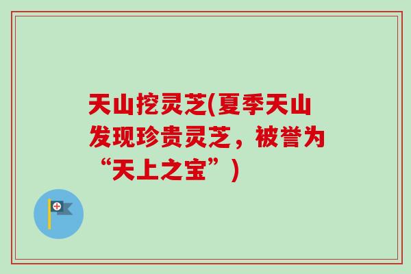 天山挖灵芝(夏季天山发现珍贵灵芝,被誉为“天上之宝”) 天山挖灵芝(夏季天山发现珍贵灵芝,被誉为“天上之宝”)