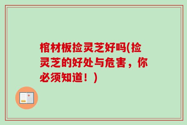 棺材板捡灵芝好吗(捡灵芝的好处与危害，你必须知道！)
