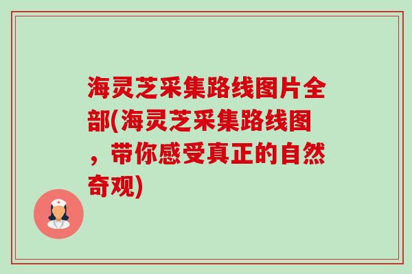 海灵芝采集路线图片全部(海灵芝采集路线图,带你感受真正的自然奇观) 海灵芝采集路线图片全部(海灵芝采集路线图,带你感受真正的自然奇观)