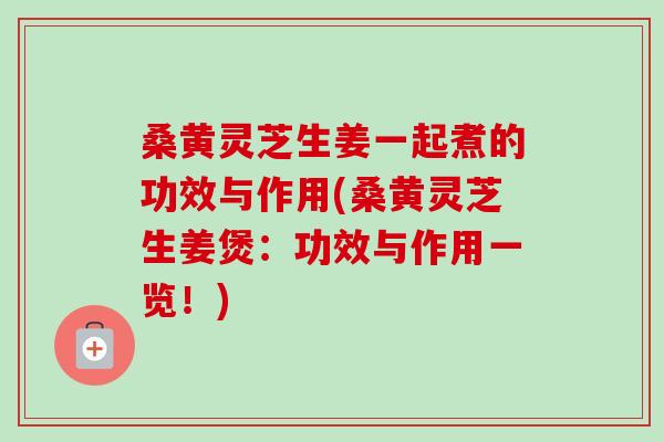 桑黄灵芝生姜一起煮的功效与作用(桑黄灵芝生姜煲：功效与作用一览！)
