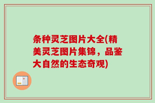 条种灵芝图片大全(精美灵芝图片集锦,品鉴大自然的生态奇观) 条种灵芝图片大全(精美灵芝图片集锦,品鉴大自然的生态奇观)