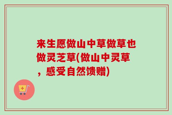 来生愿做山中草做草也做灵芝草(做山中灵草,感受自然馈赠) 来生愿做山中草做草也做灵芝草(做山中灵草,感受自然馈赠)