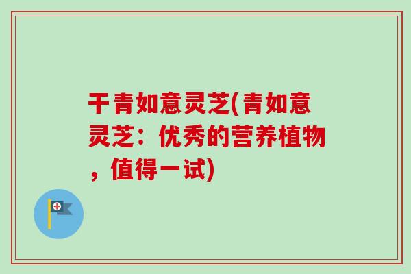 干青如意灵芝(青如意灵芝：优秀的营养植物，值得一试)