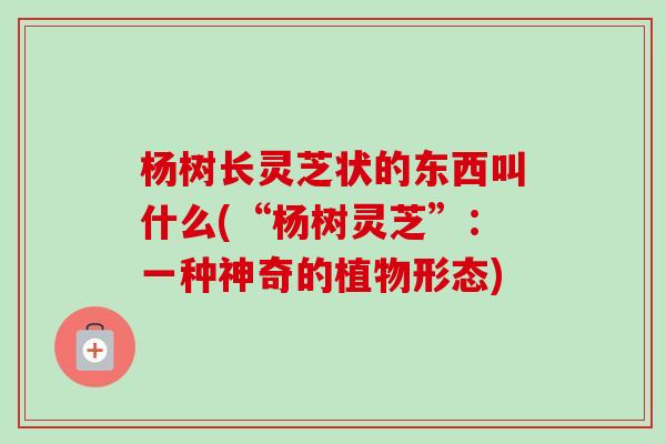 杨树长灵芝状的东西叫什么(“杨树灵芝”:一种神奇的植物形态) 杨树长灵芝状的东西叫什么(“杨树灵芝”:一种神奇的植物形态)